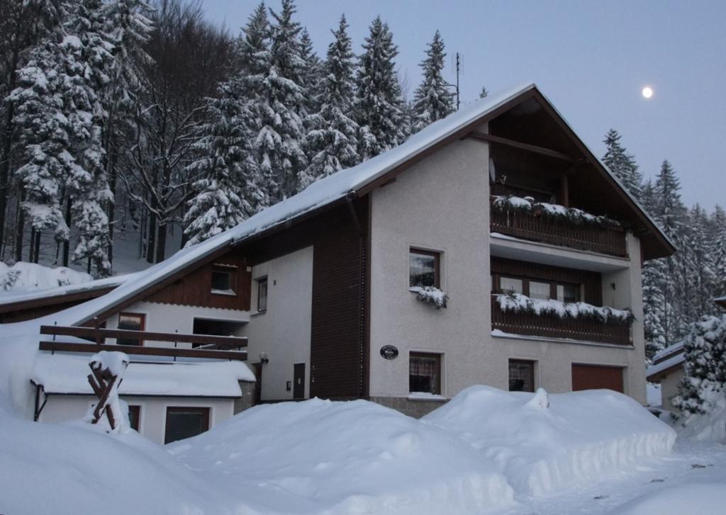 Apartmany Mueller Бедржихов Экстерьер фото